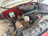 Thumb Image 1